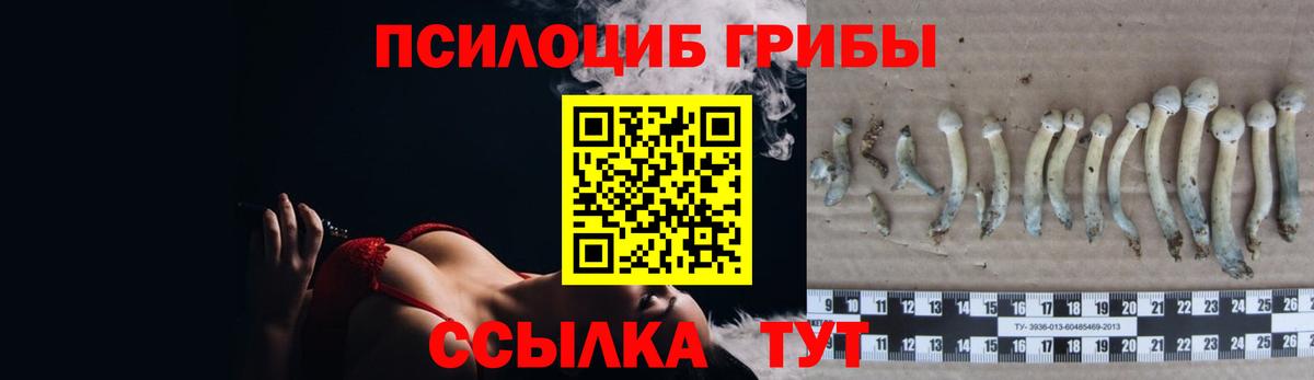 Галлюциногенные грибы Psilocybe  Галлюциногенные грибы MAGIC MUSHROOMS  Ржев  Вход с VPN 