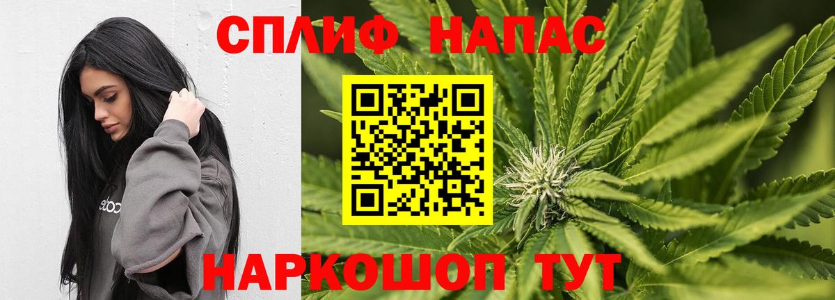 Конопля индика  Конопля план  Ржев  Марихуана семена  Вход с VPN 